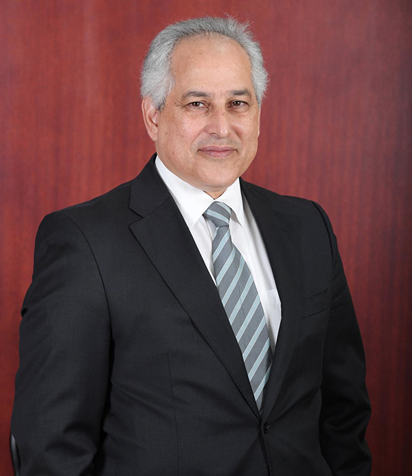 Dr.Hossam Eldin Mostafa Group CEO